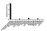 Human IgG (Lambda light chain) Secondary Antibody