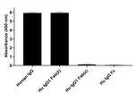 Human IgG (Lambda light chain) Secondary Antibody