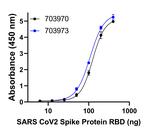 Human IgG Fab Secondary Antibody in ELISA (ELISA)