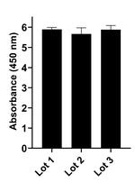 Human IgG Fab Secondary Antibody in ELISA (ELISA)