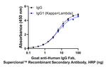 Human IgG Fab Secondary Antibody in ELISA (ELISA)