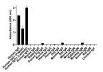 Human IgG Fab Secondary Antibody