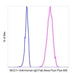 Human IgG Fab Secondary Antibody in Flow Cytometry (Flow)