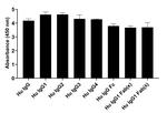 Human IgG (H+L) Secondary Antibody