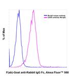 Rabbit IgG Fc Secondary Antibody in Flow Cytometry (Flow)