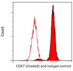 CDK7 Antibody in Flow Cytometry (Flow)