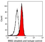 BRD2 Antibody in Flow Cytometry (Flow)