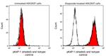 Phospho-KAP-1 (Ser824) Antibody in Flow Cytometry (Flow)