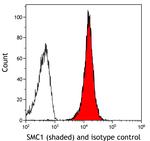 SMC1 Antibody in Flow Cytometry (Flow)