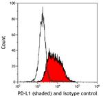 PD-L1 Antibody in Flow Cytometry (Flow)