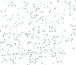 hSET1 Antibody in Immunocytochemistry (ICC/IF)