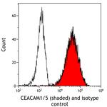 CEACAM1 Antibody in Flow Cytometry (Flow)