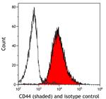 CD44 Antibody in Flow Cytometry (Flow)