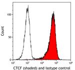 CTCF Antibody in Flow Cytometry (Flow)