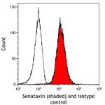 Senataxin Antibody in Flow Cytometry (Flow)