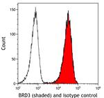 BRD3 Antibody in Flow Cytometry (Flow)