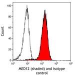 MED12 Antibody in Flow Cytometry (Flow)