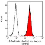 E-Cadherin Antibody in Flow Cytometry (Flow)