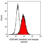 CEACAM1 Antibody in Flow Cytometry (Flow)