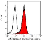 SMC3 Antibody in Flow Cytometry (Flow)