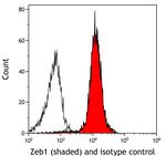 ZEB1 Antibody in Flow Cytometry (Flow)