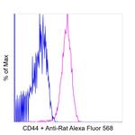 Rat IgG (H+L) Highly Cross-Adsorbed Secondary Antibody in Flow Cytometry (Flow)