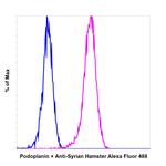 Syrian Hamster IgG (H+L) Highly Cross-Adsorbed Secondary Antibody in Flow Cytometry (Flow)