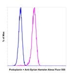 Syrian Hamster IgG (H+L) Highly Cross-Adsorbed Secondary Antibody in Flow Cytometry (Flow)