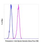 Syrian Hamster IgG (H+L) Highly Cross-Adsorbed Secondary Antibody in Flow Cytometry (Flow)