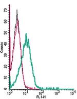 LRRC8A (extracellular) Antibody in Flow Cytometry (Flow)