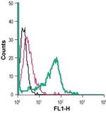 Adenosine A2B Receptor (extracellular) Antibody in Flow Cytometry (Flow)