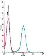 Angiotensin II Receptor Type-1 (extracellular) Antibody in Flow Cytometry (Flow)