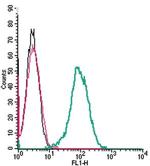 beta 2-Adrenergic Receptor (extracellular) Antibody in Flow Cytometry (Flow)