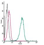 beta 2-Adrenoceptor (extracellular) Antibody in Flow Cytometry (Flow)