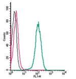 beta 3-Adrenergic Receptor (extracellular) Antibody in Flow Cytometry (Flow)