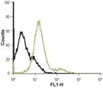 alpha 1B-Adrenergic Receptor (extracellular) Antibody in Flow Cytometry (Flow)