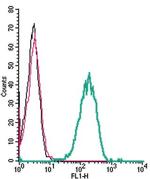 beta 1-Adrenergic Receptor (extracellular) Antibody in Flow Cytometry (Flow)