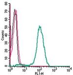 Apelin/APJ Receptor (extracellular) Antibody in Flow Cytometry (Flow)