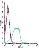 Adenosine A3 Receptor (extracellular) Antibody in Flow Cytometry (Flow)