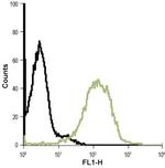 Bestrophin-1 (extracellular) Antibody in Flow Cytometry (Flow)