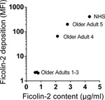 L-Ficolin Antibody in Flow Cytometry (Flow)