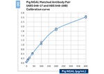 NGAL Antibody in ELISA (ELISA)