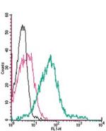 TRPA1 (extracellular) Antibody in Flow Cytometry (Flow)