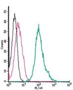 TRPA1 (extracellular) Antibody in Flow Cytometry (Flow)