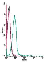 Orai1 (extracellular) Antibody in Flow Cytometry (Flow)