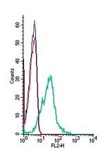 STIM1 (extracellular) Antibody in Flow Cytometry (Flow)