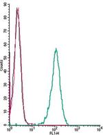 TRPC1 (extracellular) Antibody in Flow Cytometry (Flow)