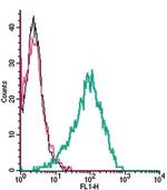 TRPC6 (extracellular) Antibody in Flow Cytometry (Flow)