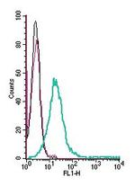 TRPC6 (extracellular) Antibody in Flow Cytometry (Flow)