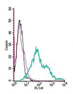 TRPC6 (extracellular) Antibody in Flow Cytometry (Flow)